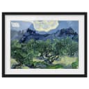 Vincent van Gogh Olivenbäume II Bild | Blau