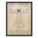 Bild Da Vinci V Papier | Braun