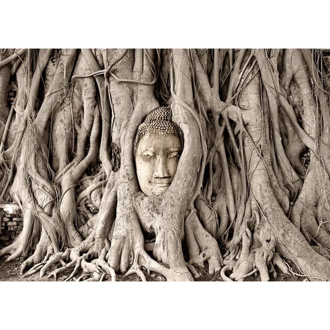 Vlies Fototapete Buddhas Tree | Braun