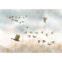 Vlies Fototapete Golden Geese | Mehrfarbig