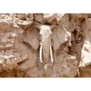 Vlies Fototapete Elephant Carving | Beige