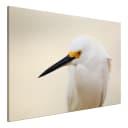 Wandbild Snowy Egret Leinen Beige | Beige