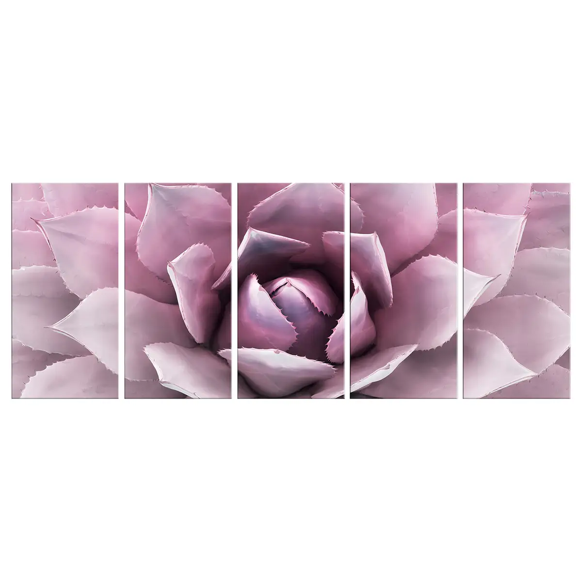 Wandbild Agave 5-teilig | Pink