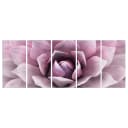 Wandbild Agave 5-teilig | Pink