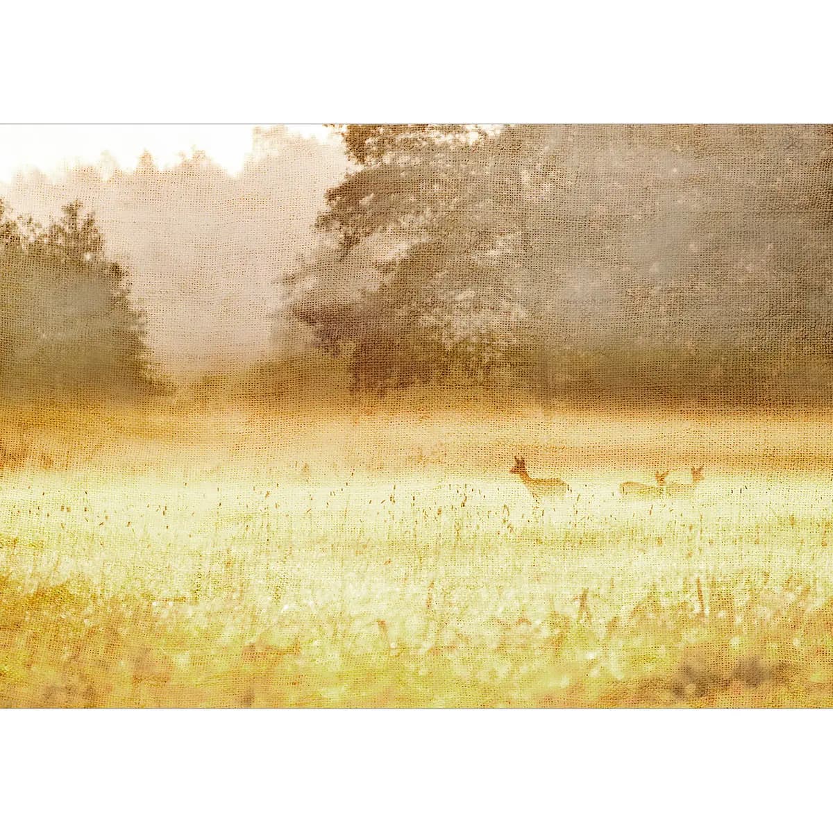 Vlies Fototapete Morning Dew | Gelb