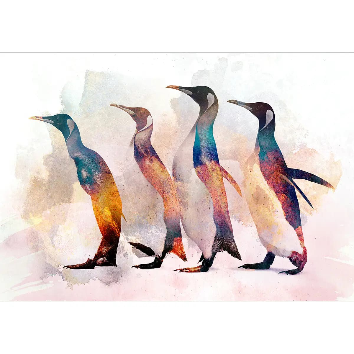 Vlies Fototapete Penguin Wandering 200cm | Mehrfarbig
