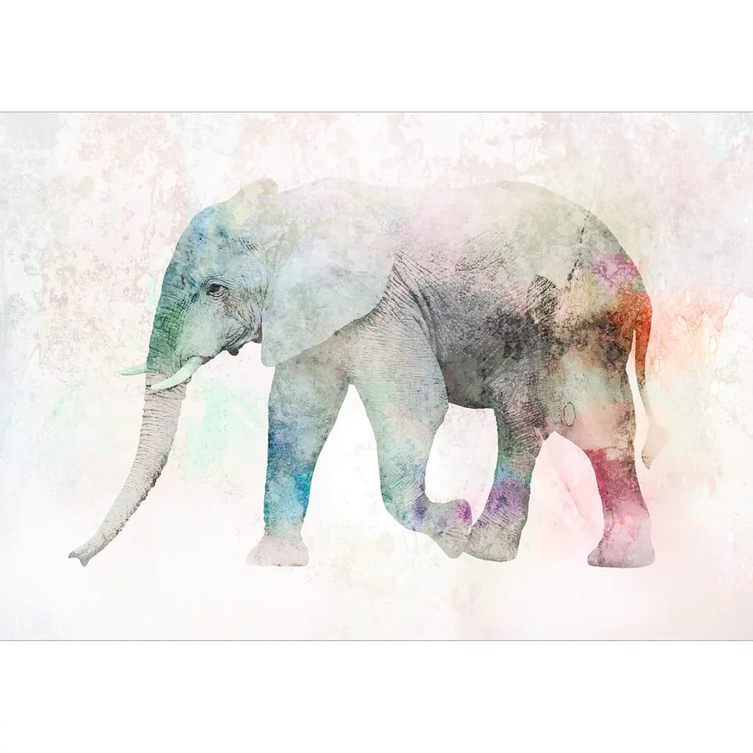 Vlies Fototapete Painted Elephant | Mehrfarbig