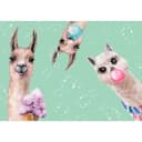 Vlies Fototapete Crazy Llamas 400cm | Mehrfarbig