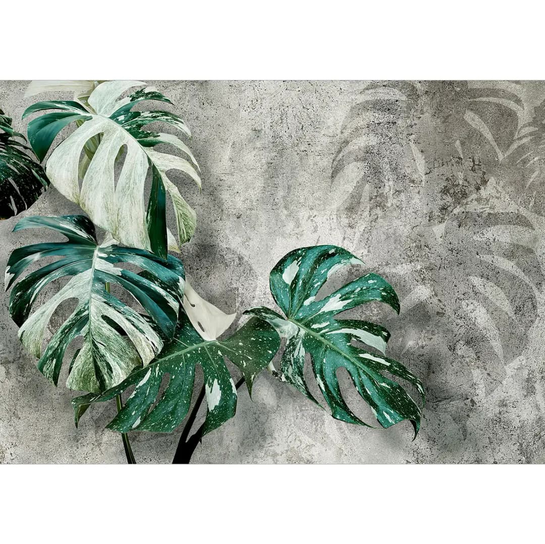 Vlies Fototapete Variegata 400cm | Grau