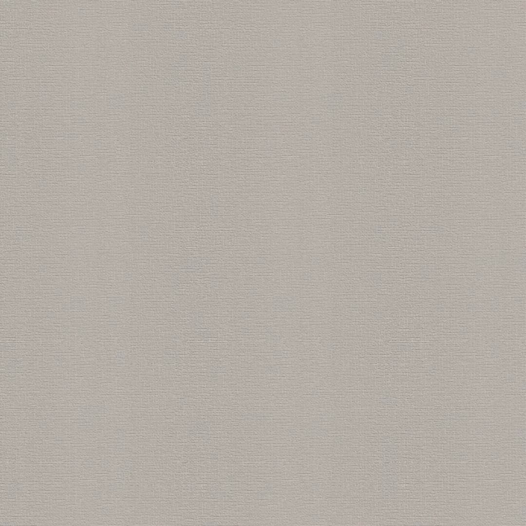Vliestapete Uni Lichtgrau | Grau