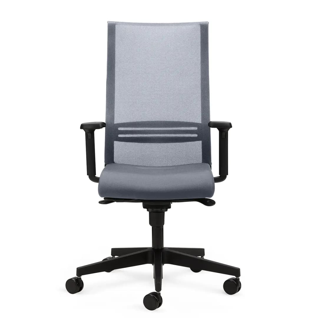 Ergonomischer Bürostuhl ALTUM | Grau