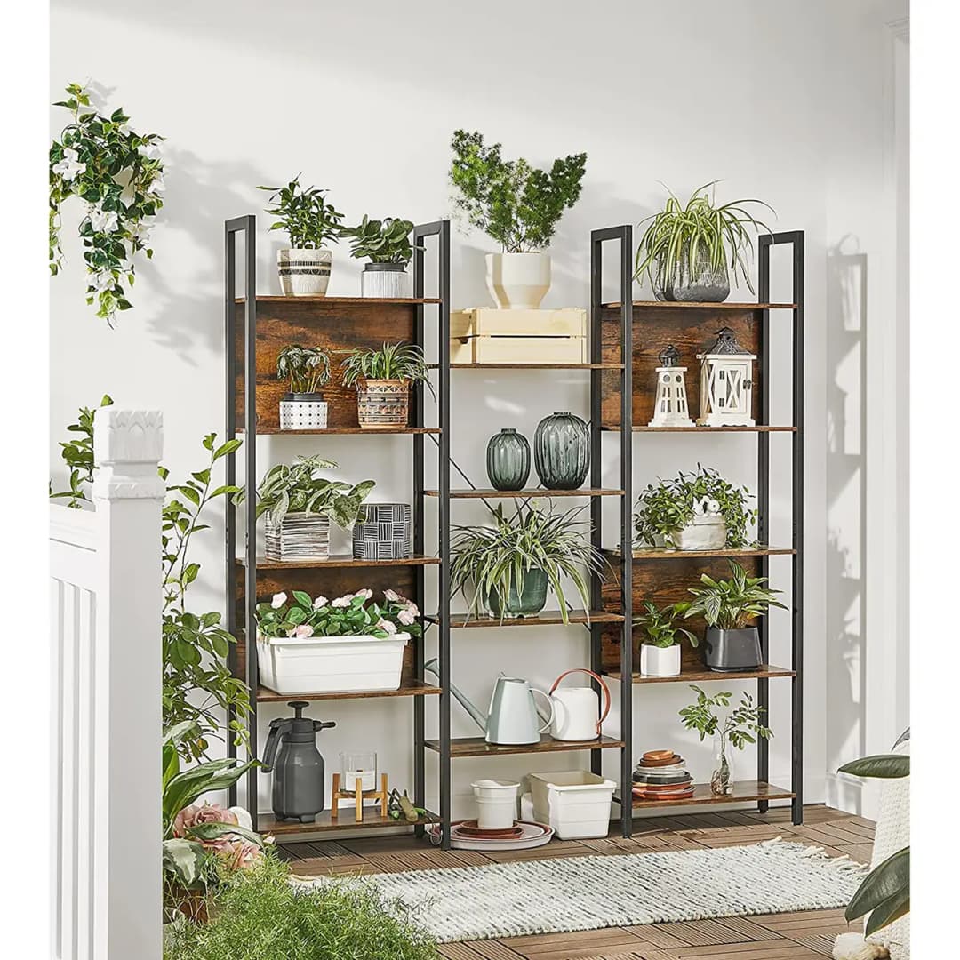 Regal Leesville | Braun