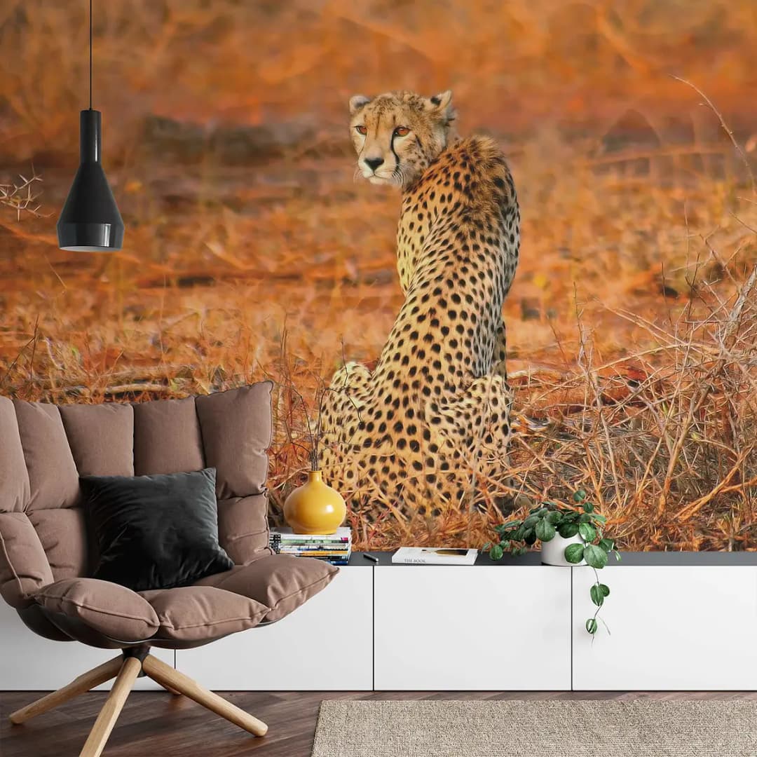 Fototapete Leopard Safari 384cm | Mehrfarbig