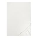 Jersey Spannbettuch 0077155 Grau/Grau | Grau