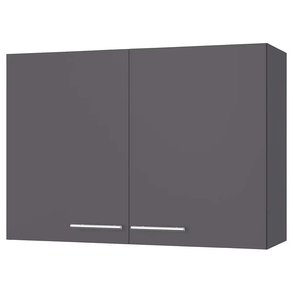 Hängeschrank VI 100cm Grau/Matt Anthrazit | Grau