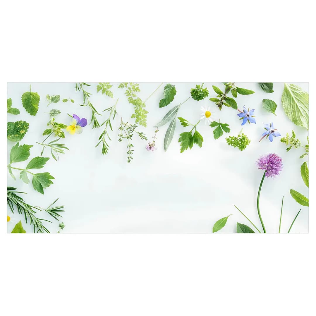 Vinylteppich Kräuter und Blüten 180 x 90cm Grün | Grün