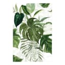 Vinylteppich Aquarell Tropische Monstera | Grün