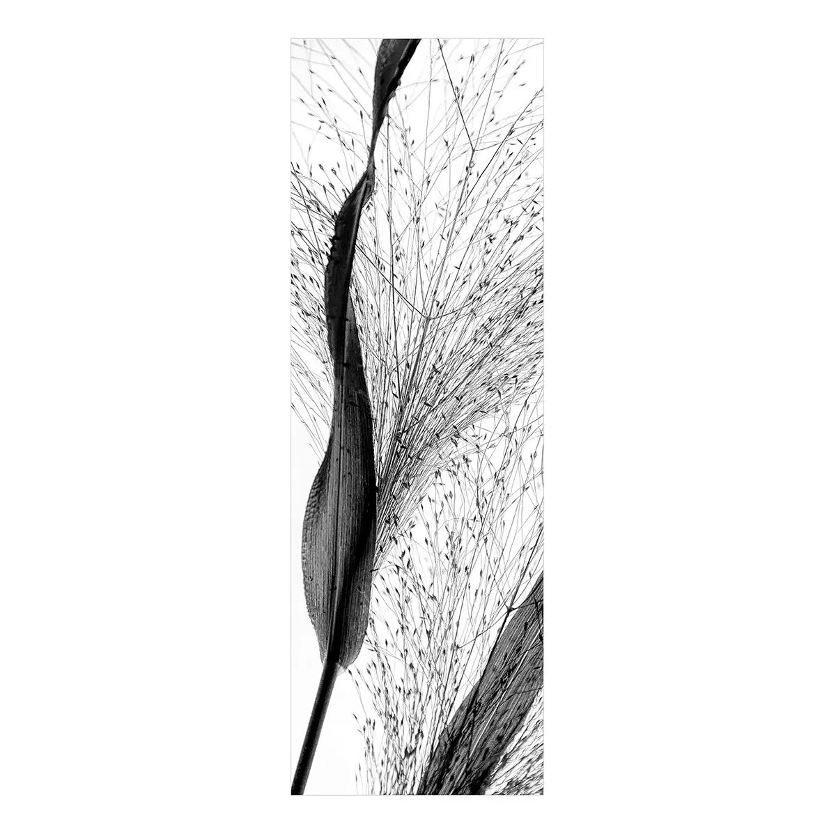 Vinylteppich Zartes Schilf 180 x 60cm Schwarz/Weiß | Schwarz