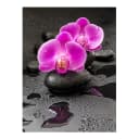 Vinylteppich Orchideenblüten auf Steinen | Pink