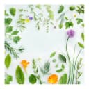 Vinylteppich Kräuter und Blüten 140 x 140cm Grün | Grün