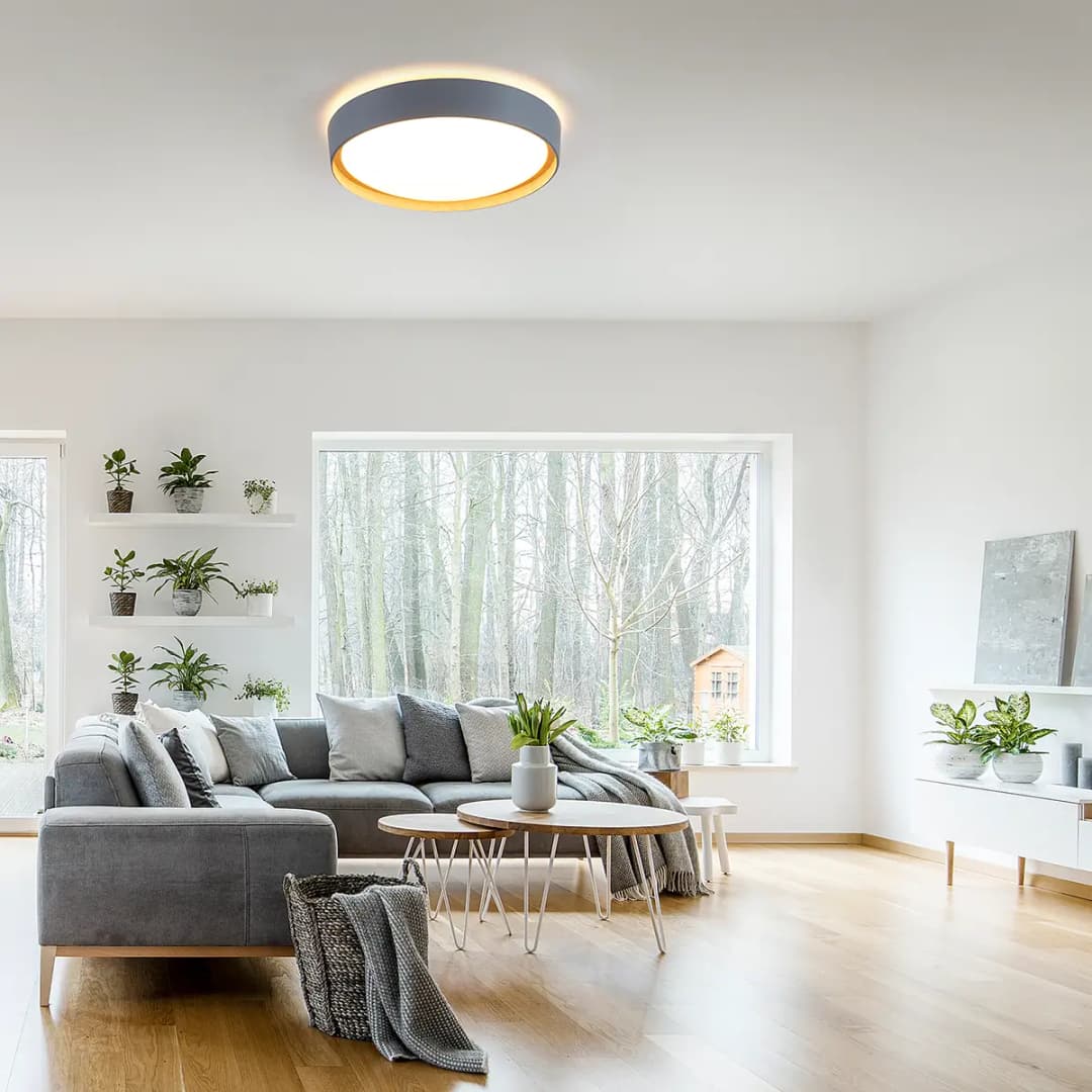 LED-Deckenleuchte Emilia | Grau