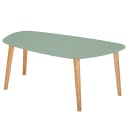 Couchtisch Endocarp 110 x 45cm Grün/Hellgrün | Grün