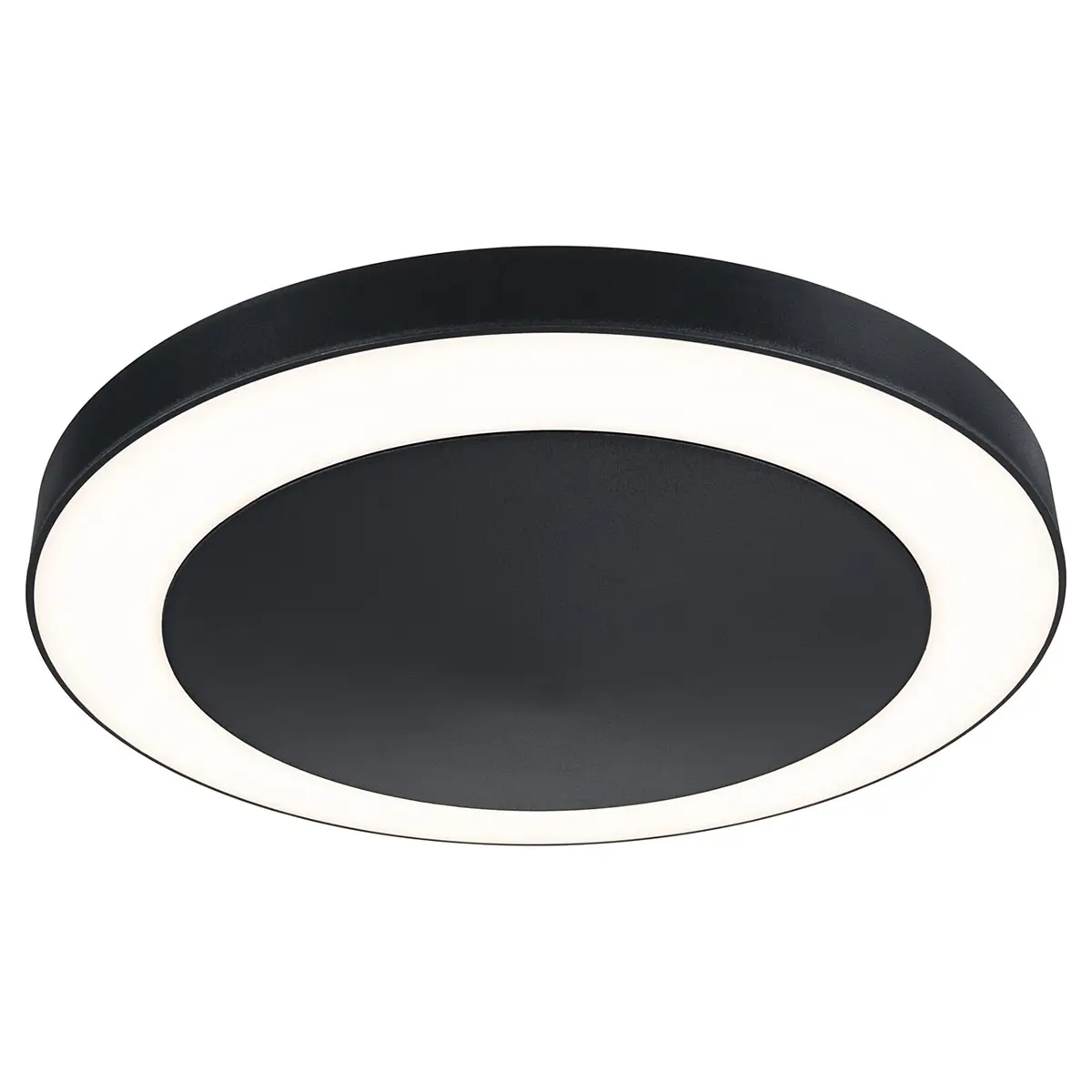Paulmann Deckenleuchte Circula | Grau