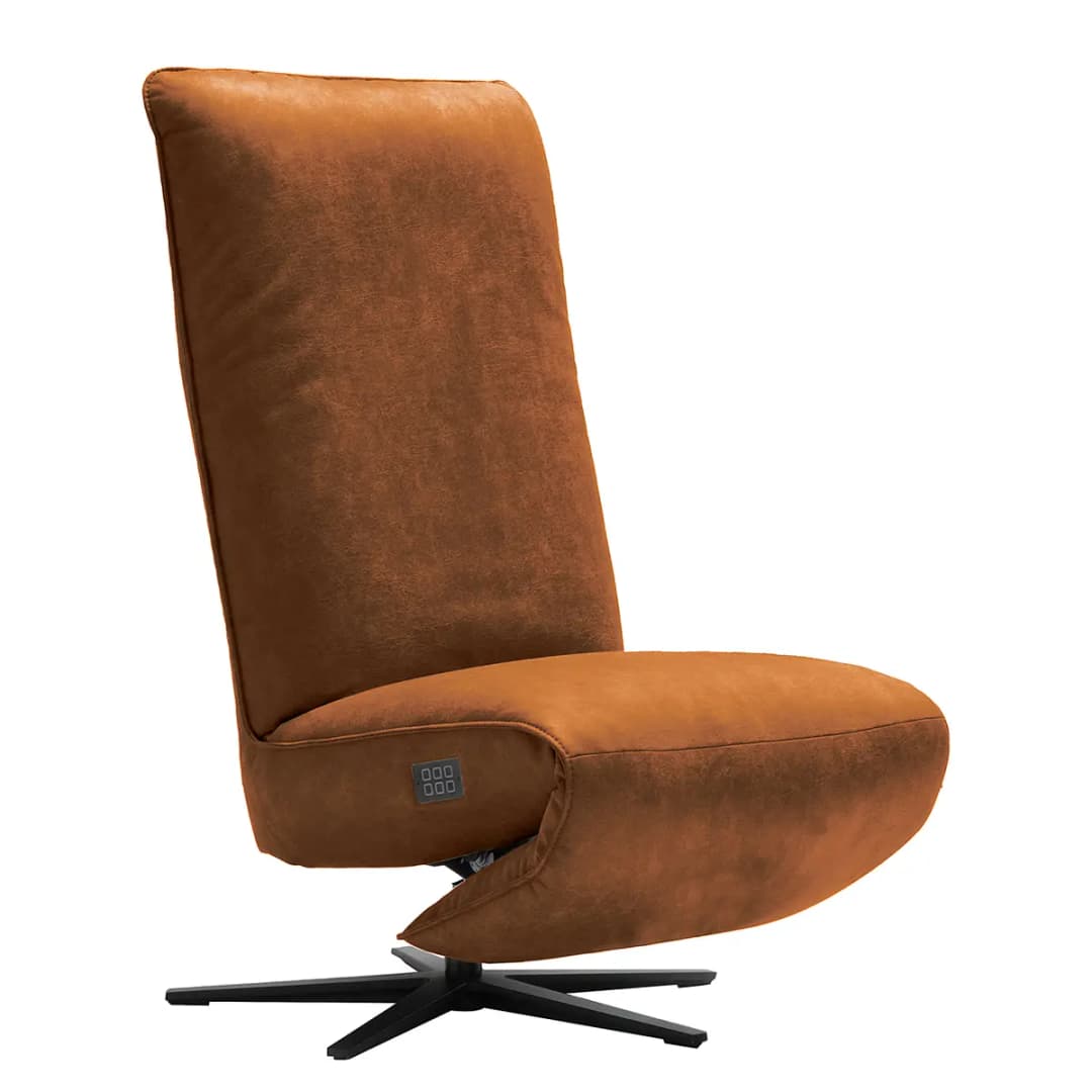 Relaxsessel Barhal | Braun