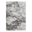 Kurzflorteppich Pico Grau/Grau/Gold 80 x 150cm | Grau