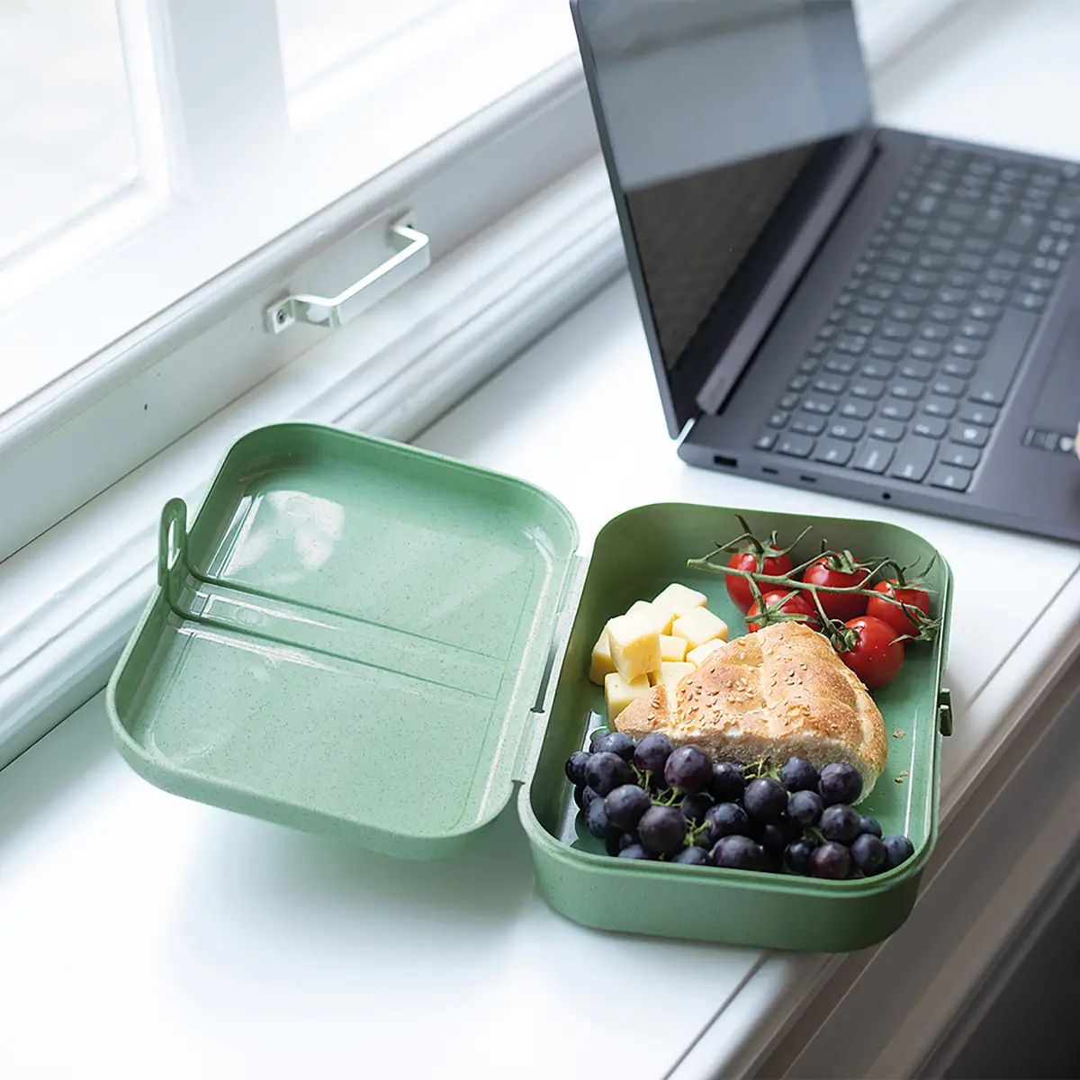 Lunchbox Pascal L | Grün