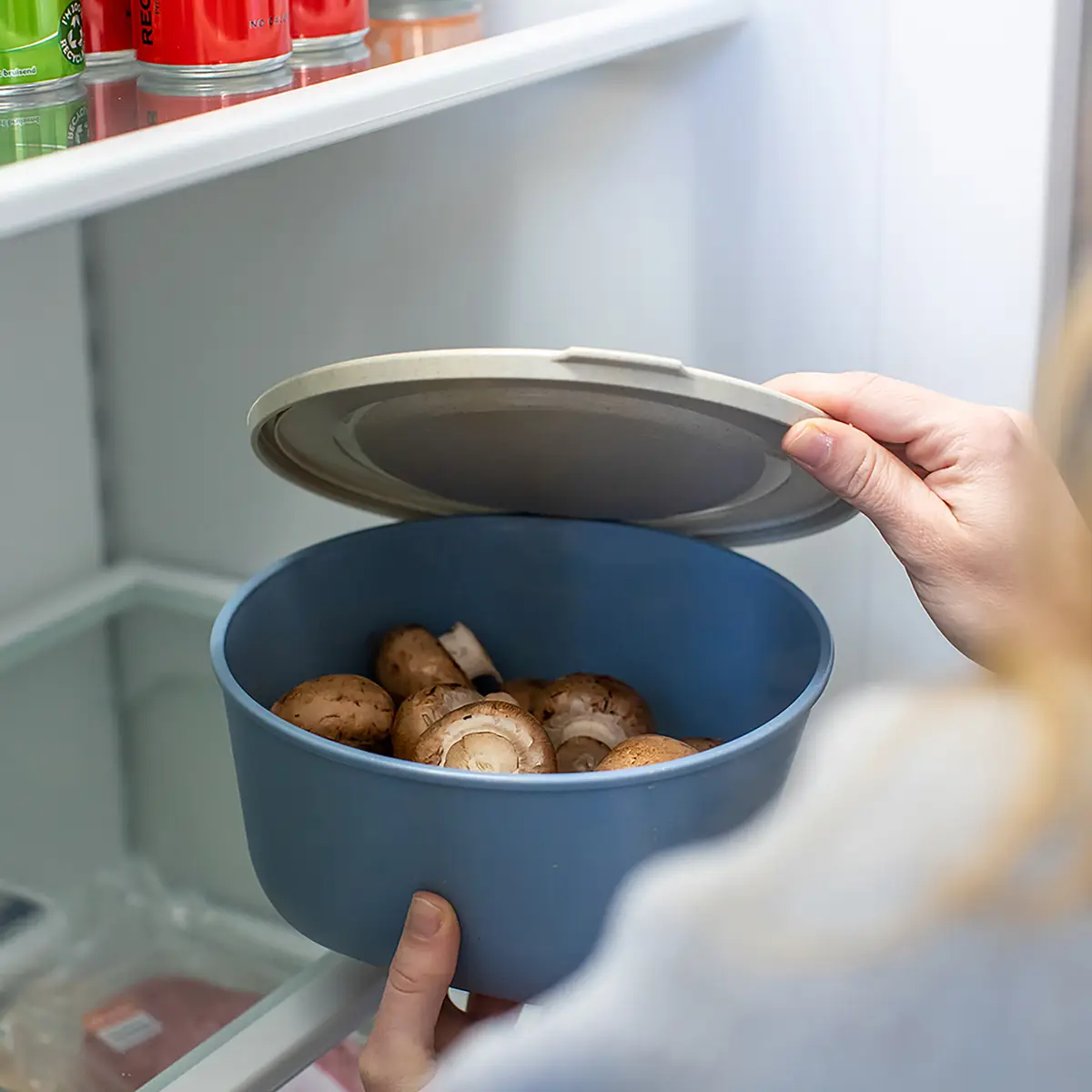 Frischhaltedose Connect Box 2L | Blau