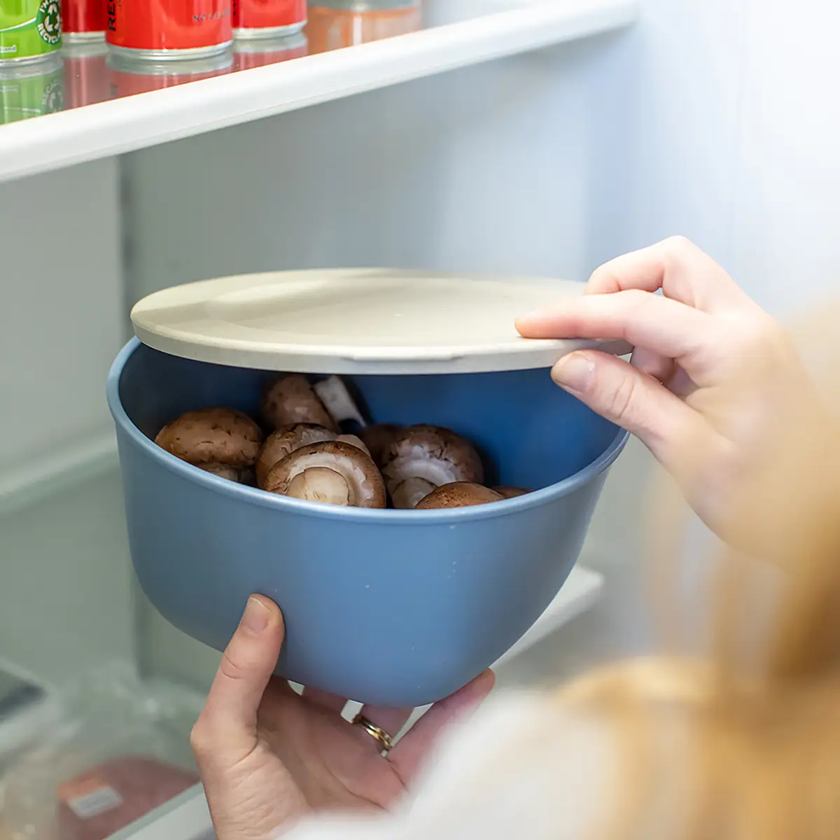 Frischhaltedose Connect Box 2L | Blau