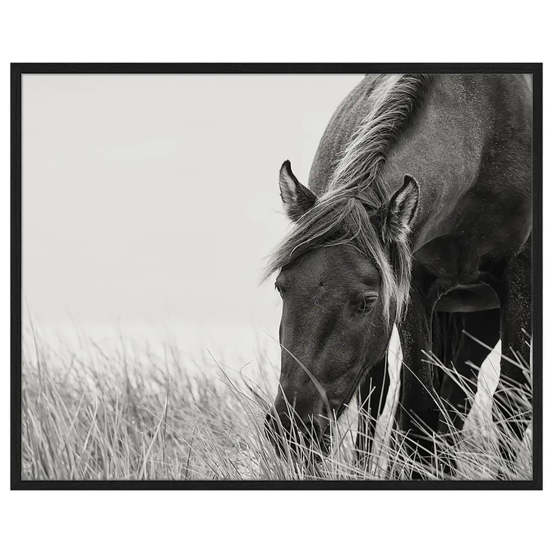 Bild Sable Horse | Mehrfarbig