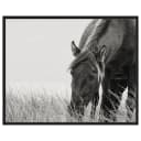 Bild Sable Horse | Mehrfarbig