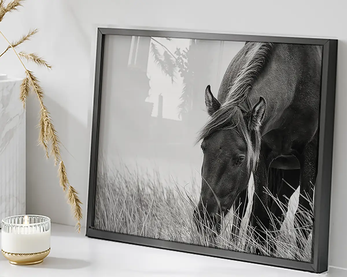 Bild Sable Horse | Mehrfarbig