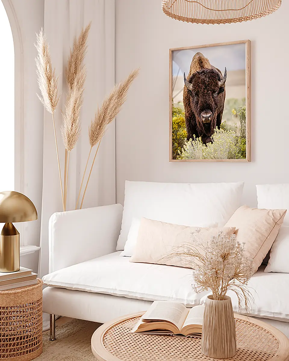 Bild North American Bison | Mehrfarbig