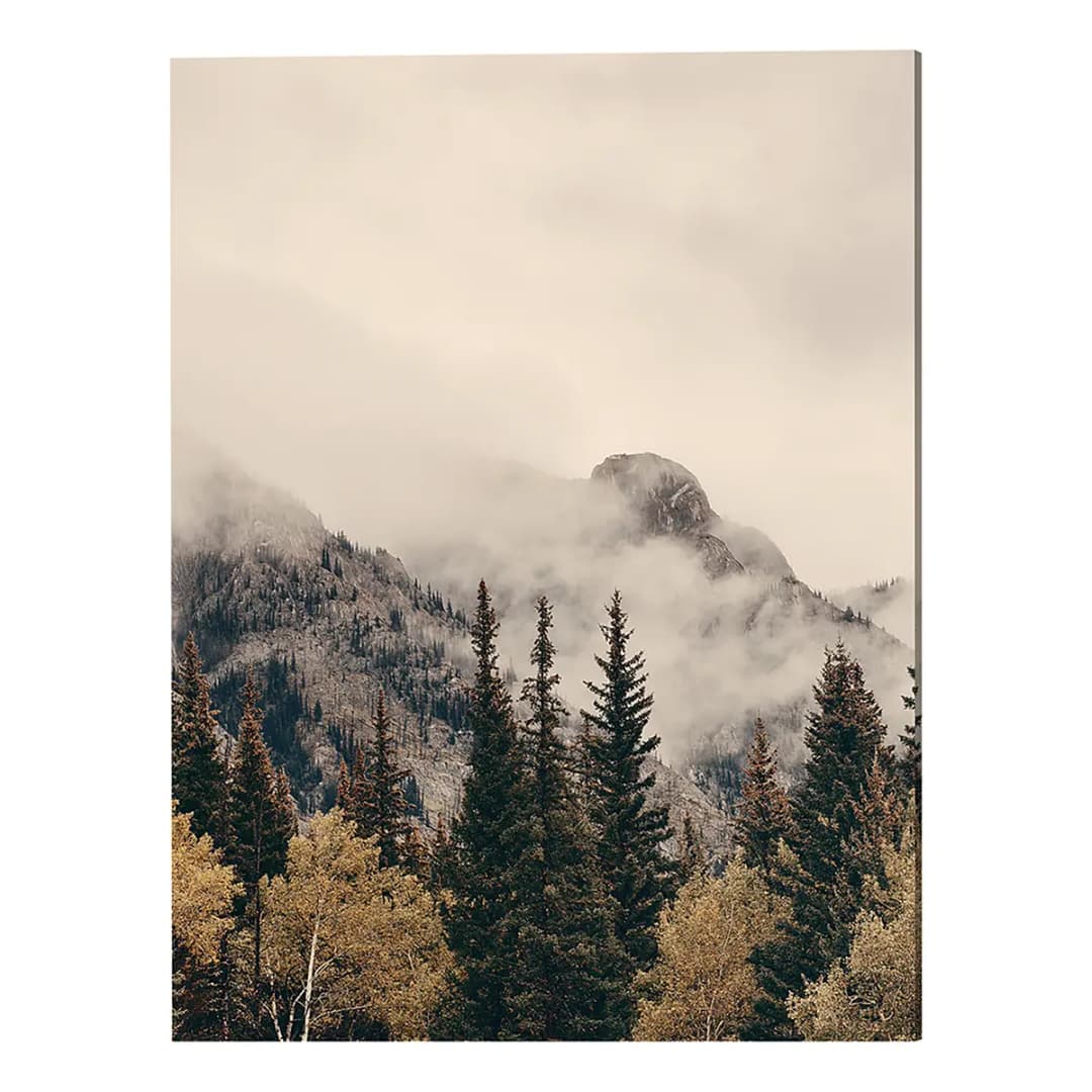 Metallbild Foggy Banff | Mehrfarbig