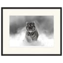 Any Image The Tiger Rahmen | Mehrfarbig