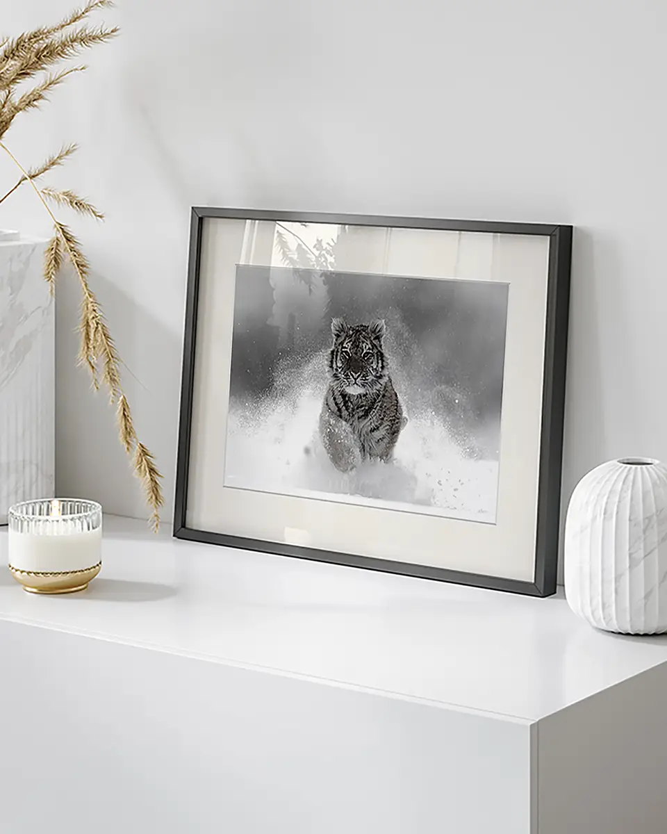 Any Image The Tiger Rahmen | Mehrfarbig