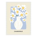 Bild Chamomile | Mehrfarbig