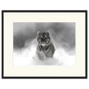 Bild The Tiger | Mehrfarbig