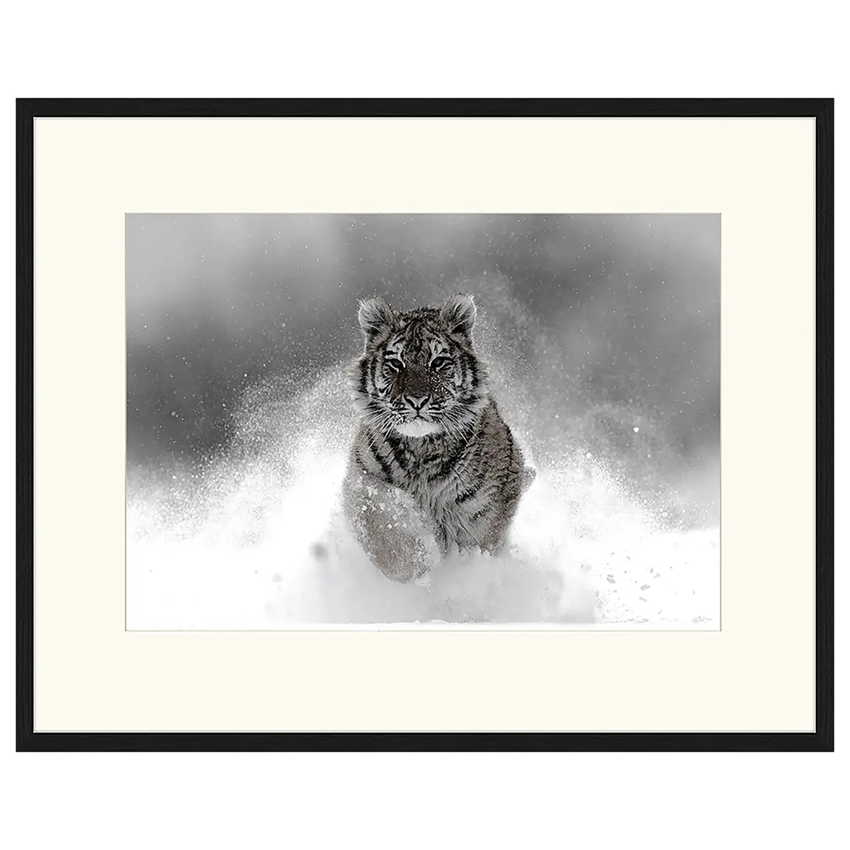 Bild The Tiger | Mehrfarbig