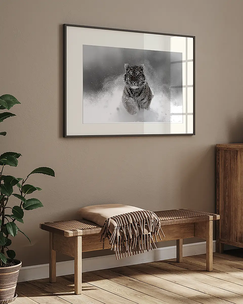 Bild The Tiger | Mehrfarbig