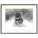 Any Image Bild The Tiger | Mehrfarbig