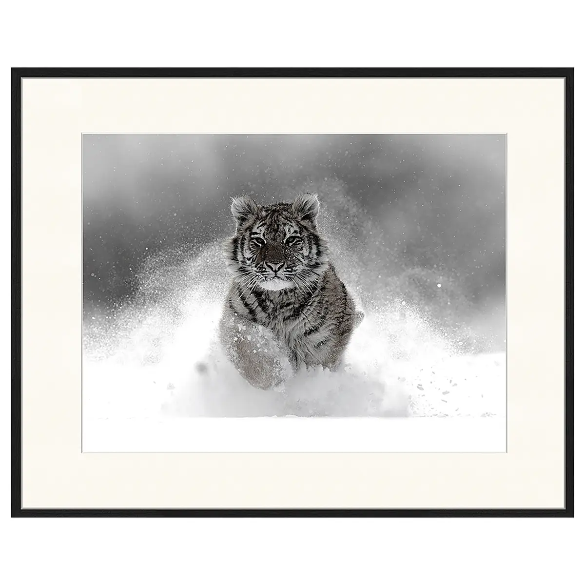 Any Image Bild The Tiger | Mehrfarbig