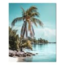 Metallbild Palm Tree | Mehrfarbig