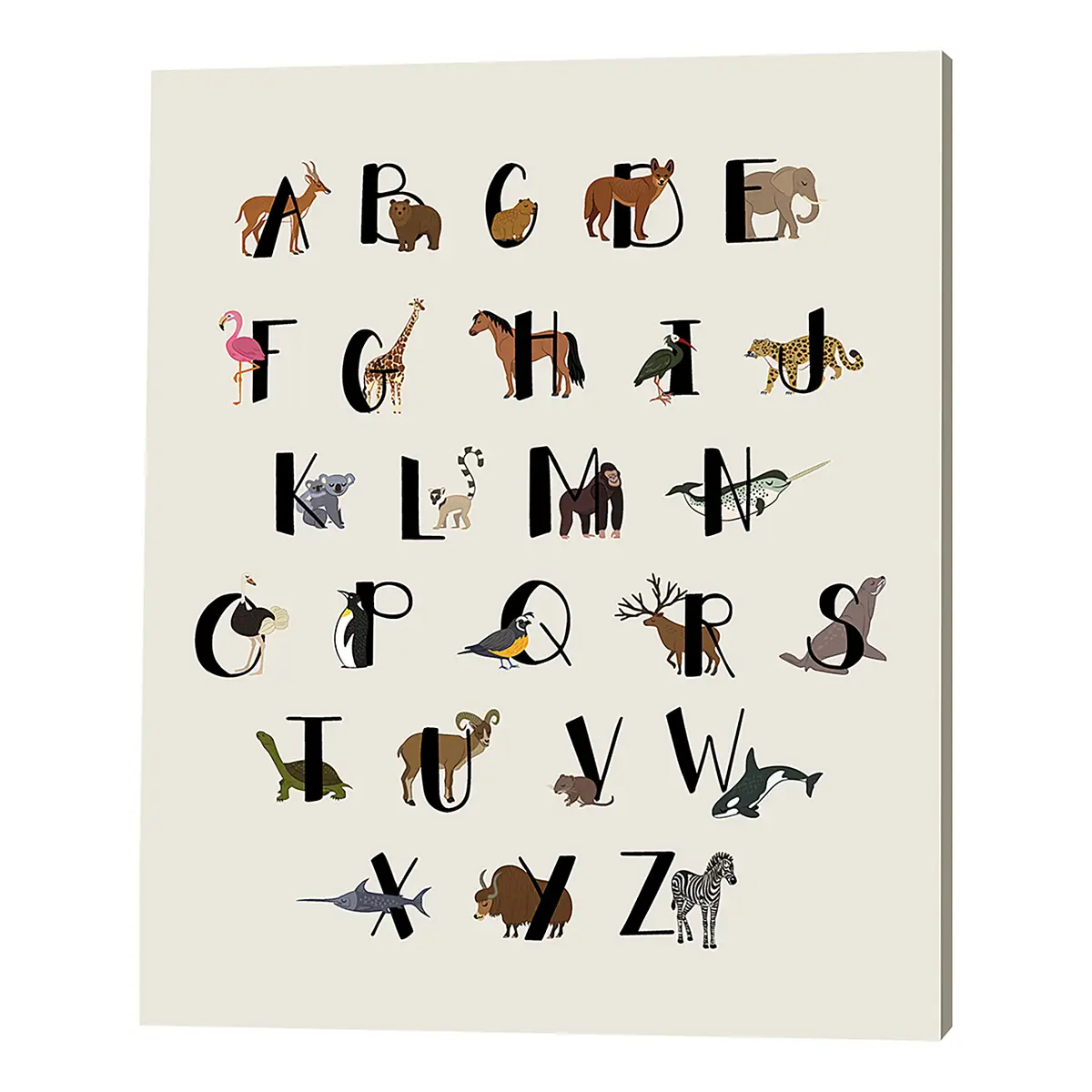 Leinwandbild Animal Alphabet 40 x 50cm Multicolor | Mehrfarbig