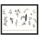 Bild Exotic Plants 43 x 53cm Multicolor | Mehrfarbig