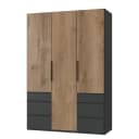 Drehtürenschrank Level36 | Holztöne