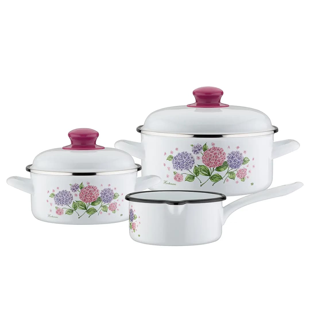 Topfset Hortensie | Mehrfarbig